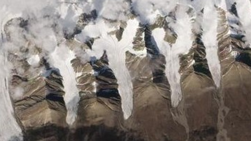 A satellite photo of 4 elongated glaciers next to one another
