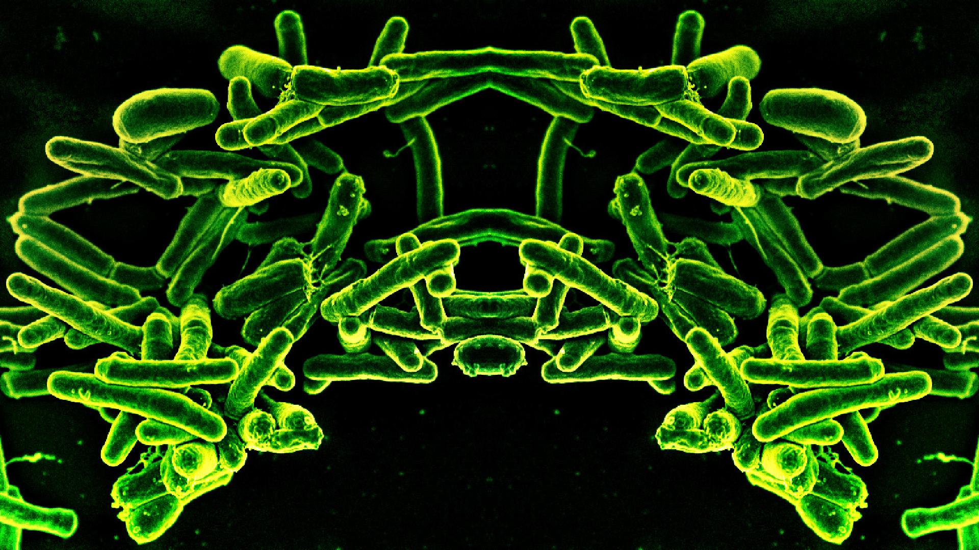 a microscope image of bacteria that has been mirrored