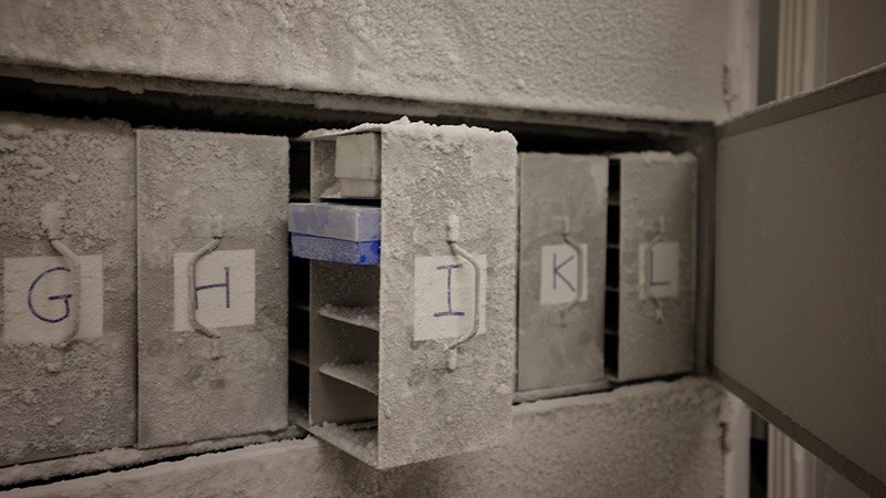 A freezer compartment at the University of Zurich containing microbial samples.