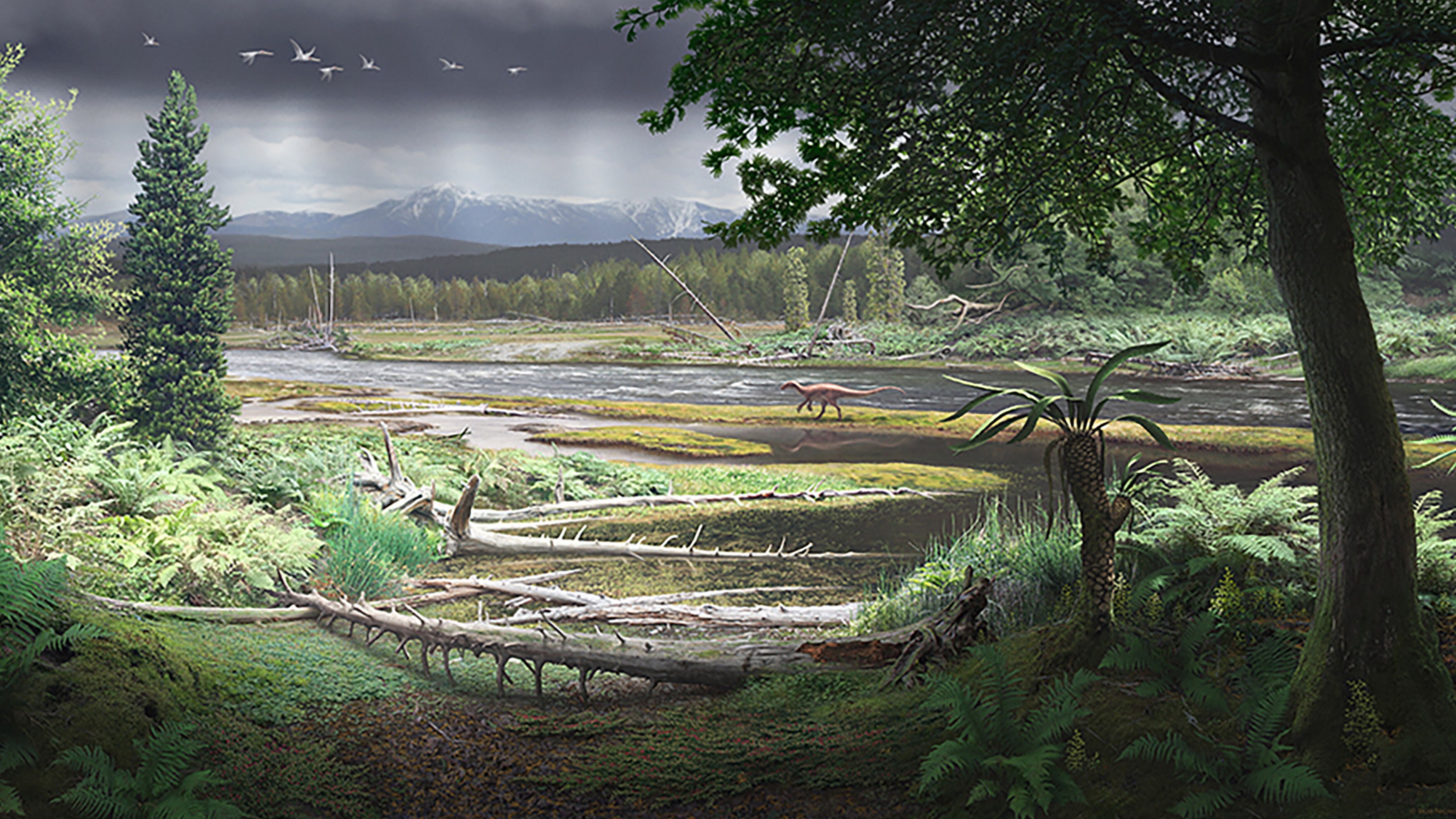 Reconstruction of an early Cretaceous landscape in what is now southern Australia.