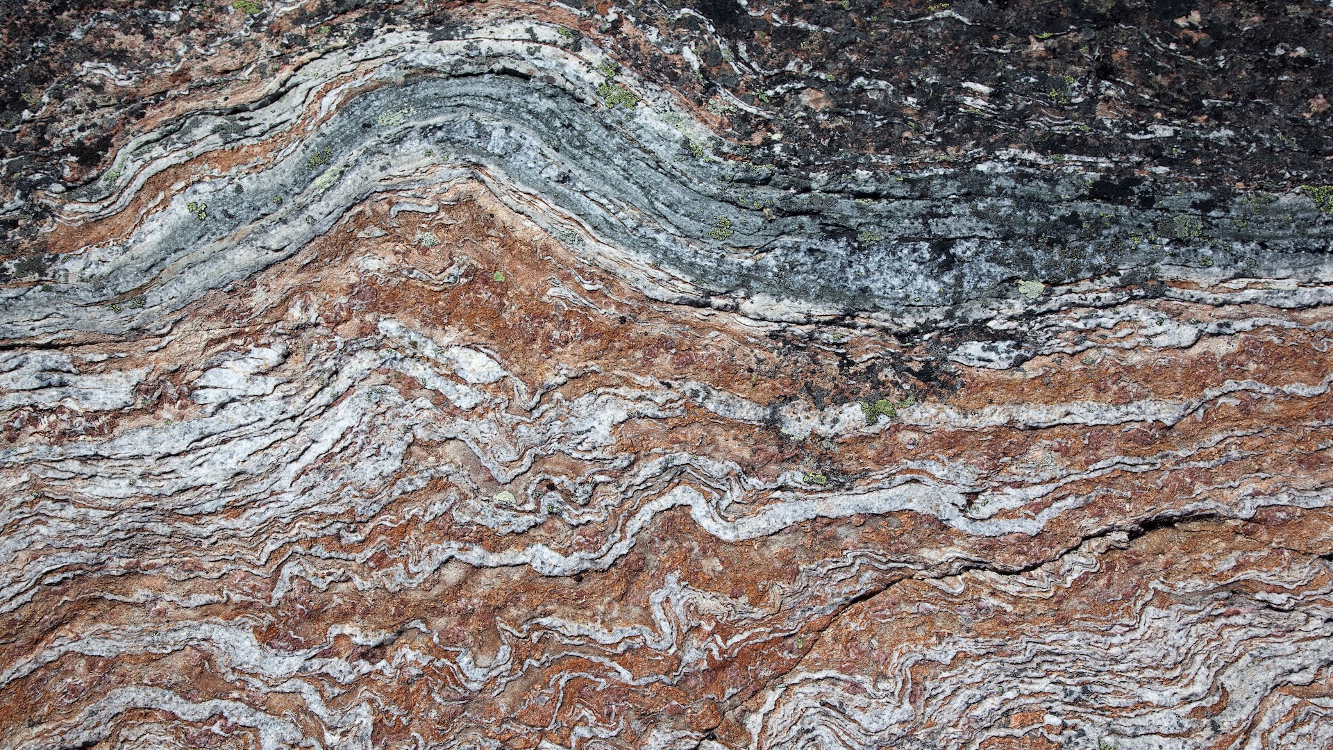 A close-up of brown, gray, and black striations on a rock formation