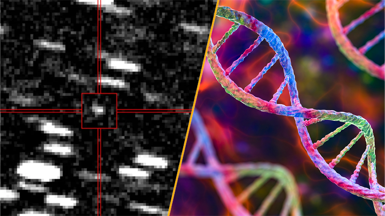 Interstellar object and DNA