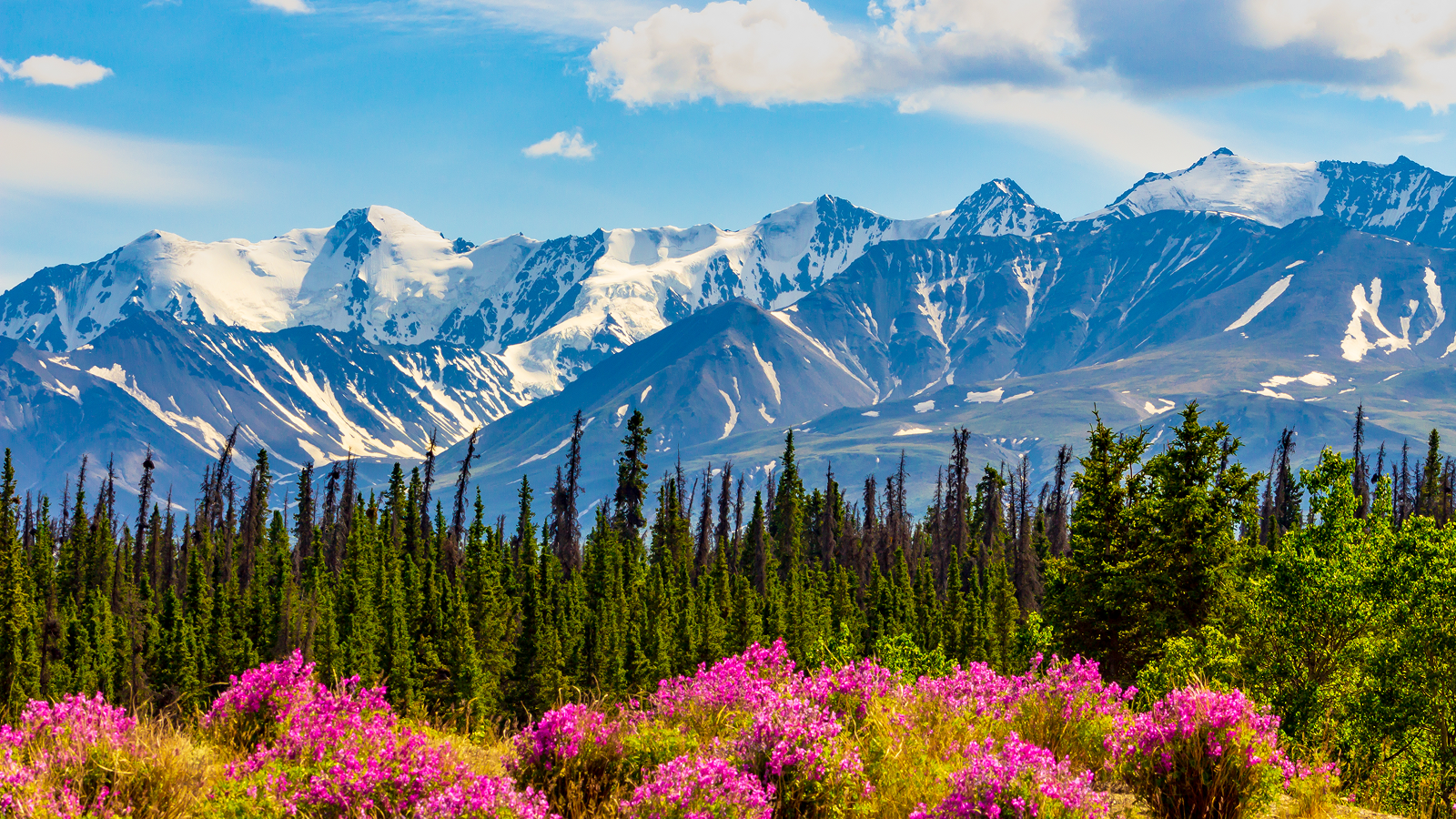 Yukon snowy mountain.